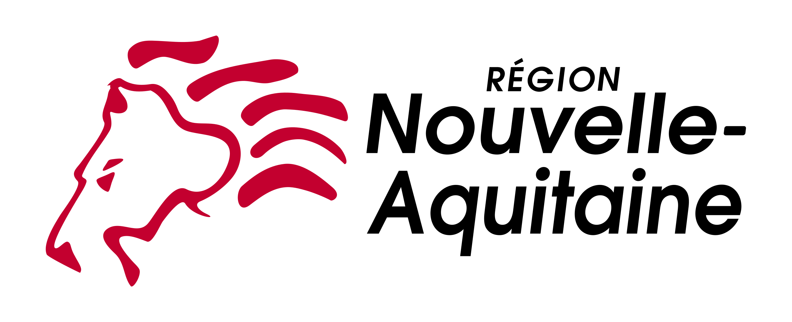 logo region na