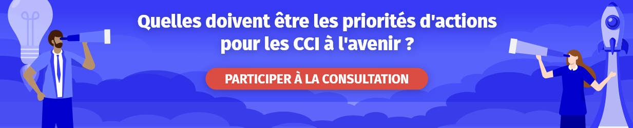 Bannière_Consultation_CCIFrance