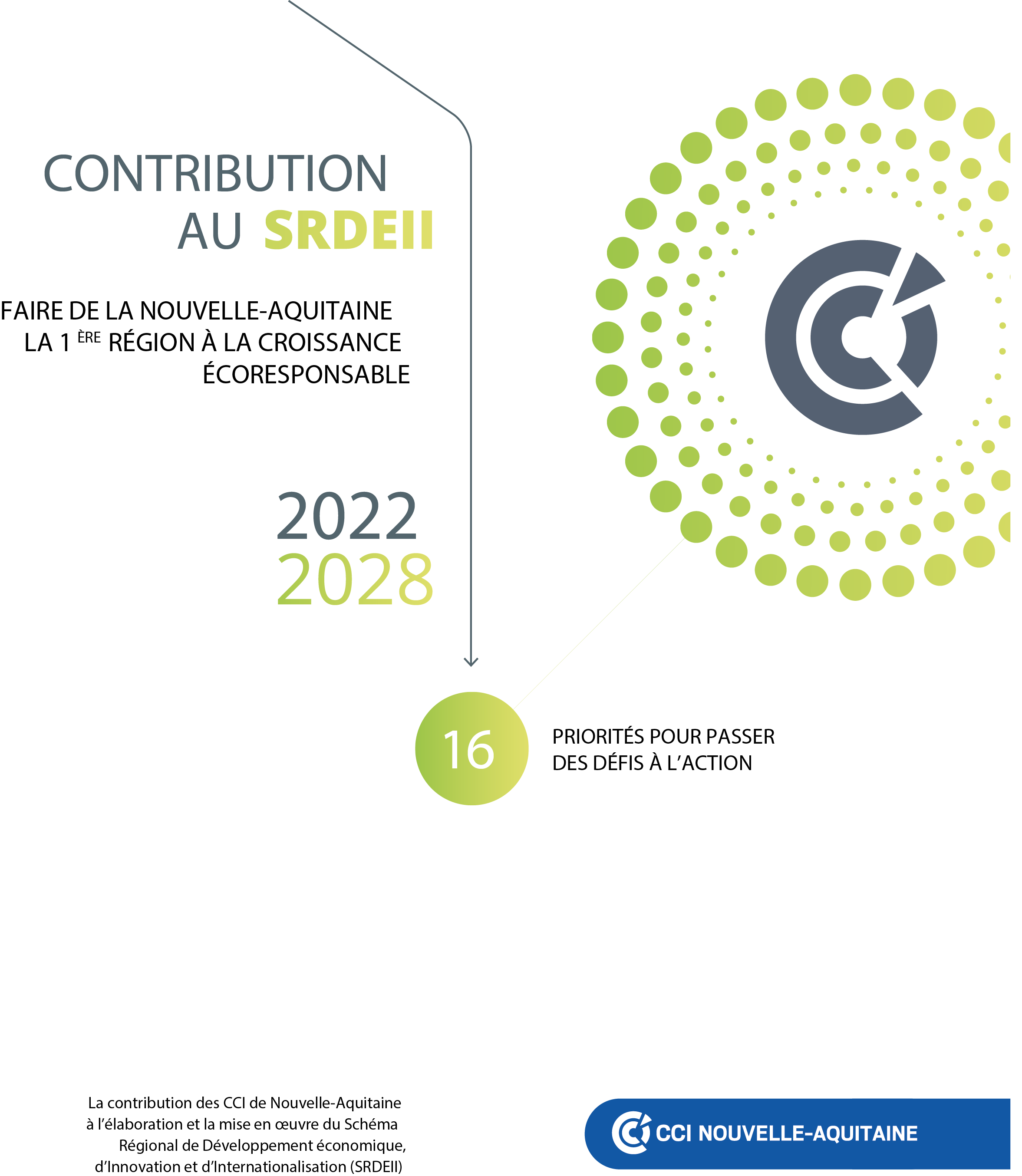 CCINA CONTRIBUTION AU SRDEII