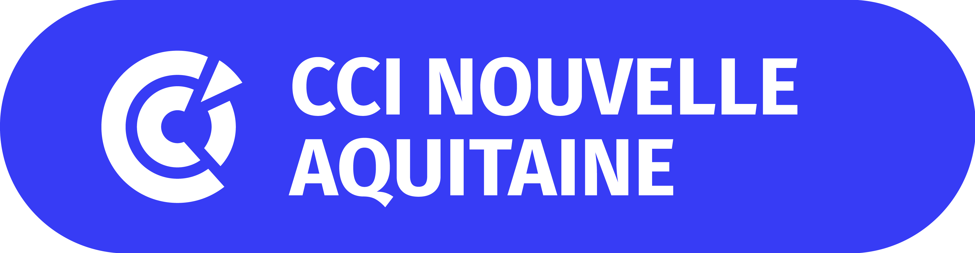 Logo CCINA