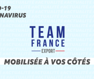 team france export