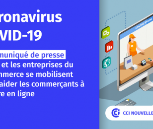 Mobilisation de l'état et entreprise e-commerce