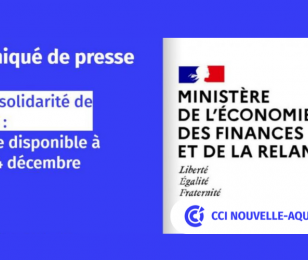 fond de solidarité novembre