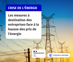 Une_crise_énergie