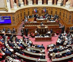 actu_cci_senat