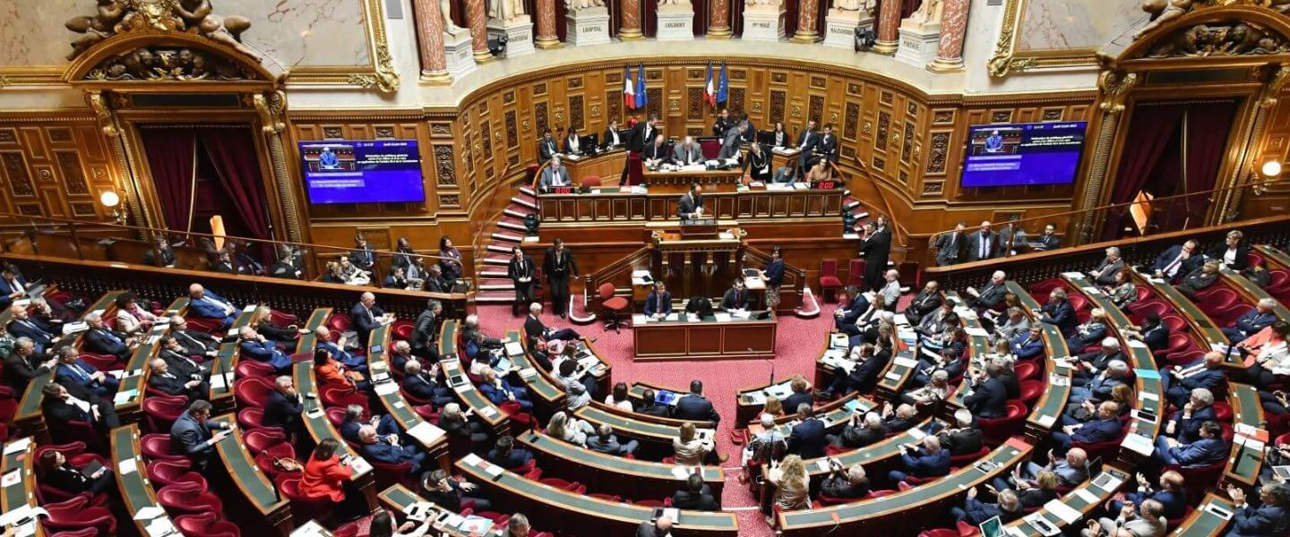 actu_cci_senat