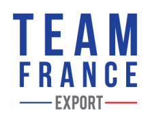 logo team france export